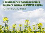 «День поля – сорта и технологии возделывания озимого рапса ВНИИМК 2022»